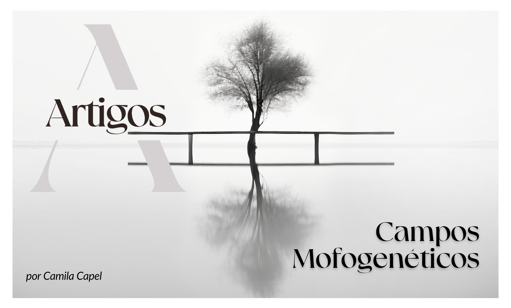 14. Campos Mofogenéticos