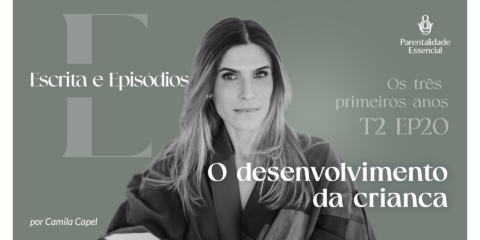 Imagem do post: 20. O desenvolvimento da criança