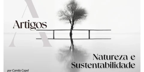 Imagem do post: Pilares- Natureza e Sustentabilidade