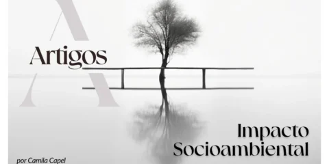 Imagem do post: Pilares- Impacto Socioambiental