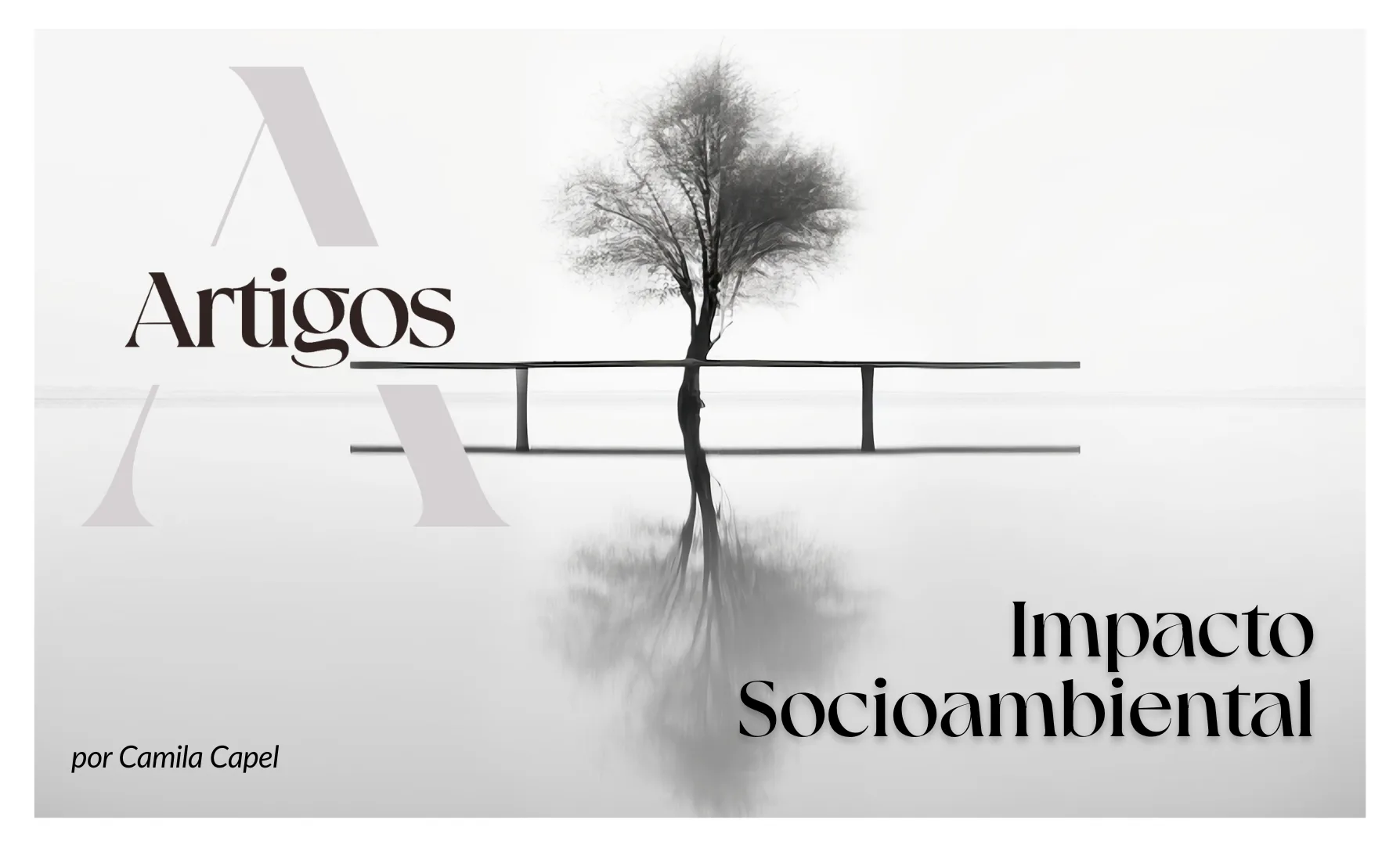 Imagem do post Pilares- Impacto Socioambiental