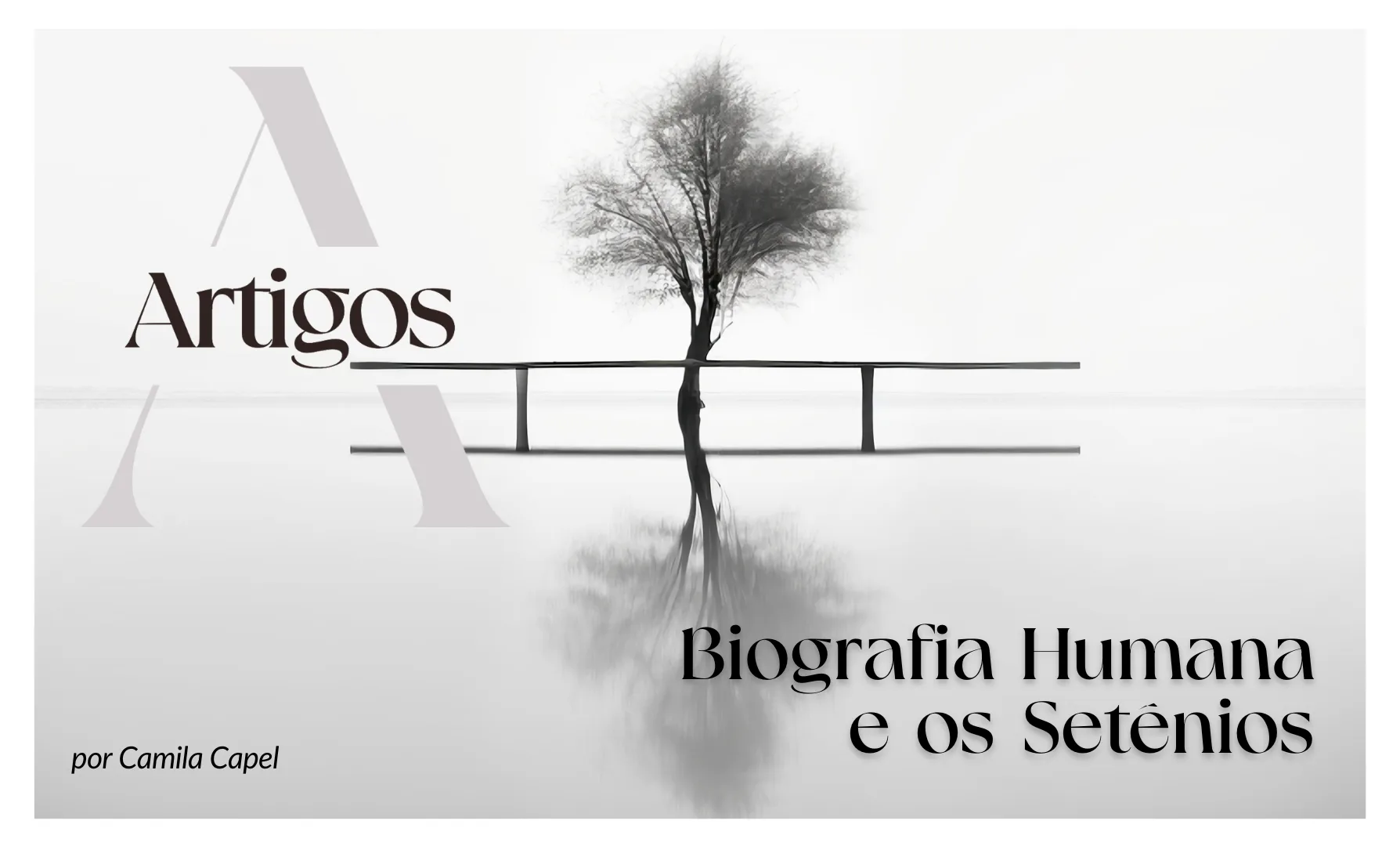 Imagem do post Estudos – Biografia Humana e os Setênios