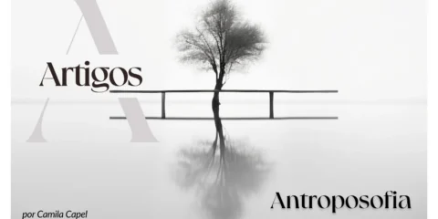 Imagem do post: Estudos- Antroposofia