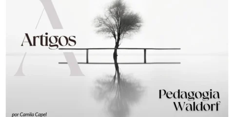 Imagem do post: Estudos- Pedagogia Waldorf