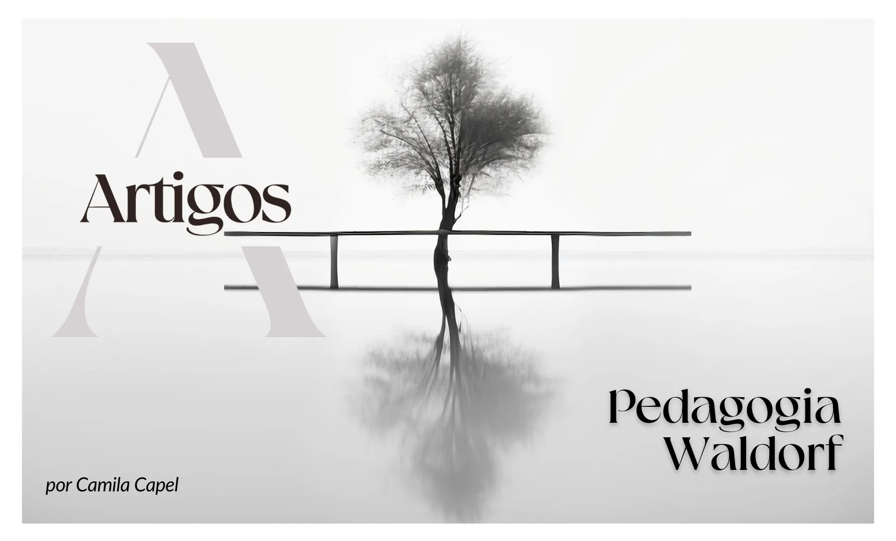 Imagem do post Estudos- Pedagogia Waldorf