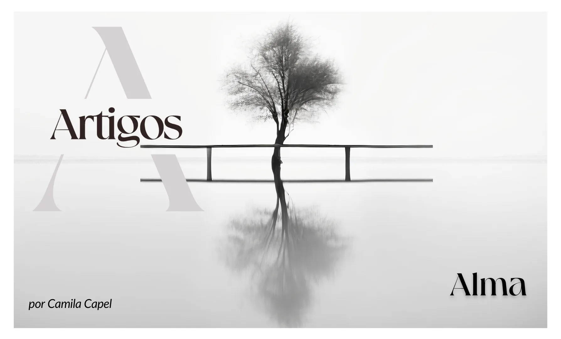 Imagem do post Bases Filosóficas – Alma