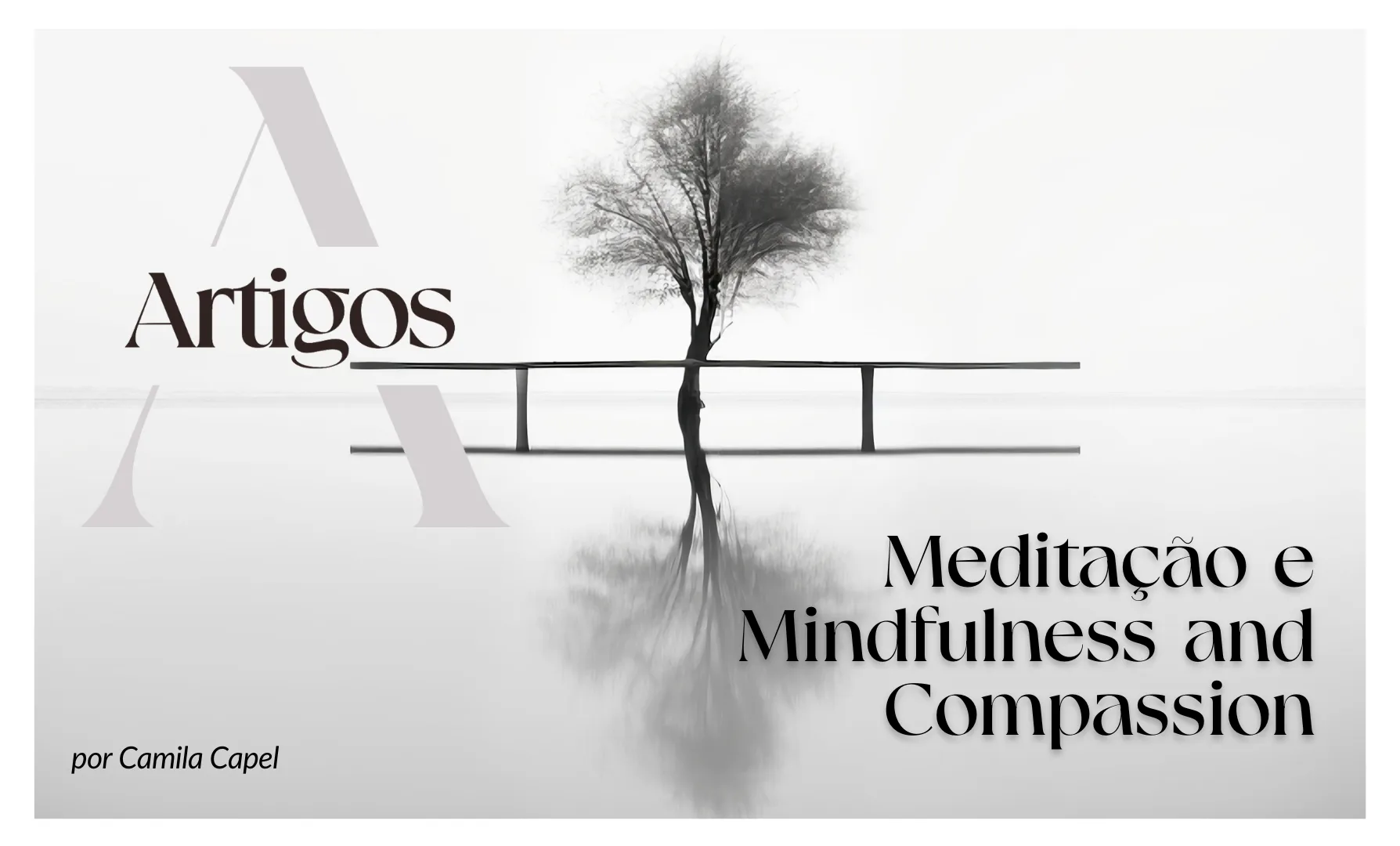 Imagem do post Estudos- Meditação e Mindfulness and Compassion