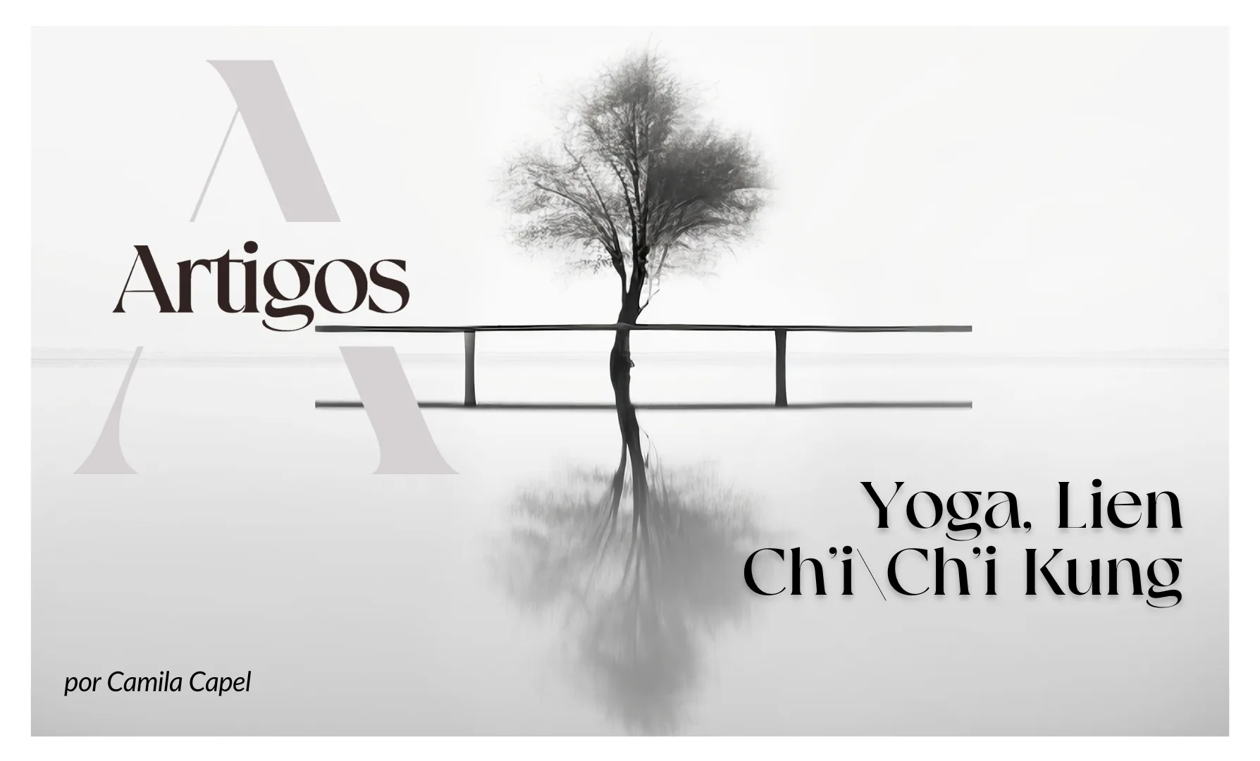 Imagem do post Estudos- Yoga, Lien Ch’I_Ch’I Kung