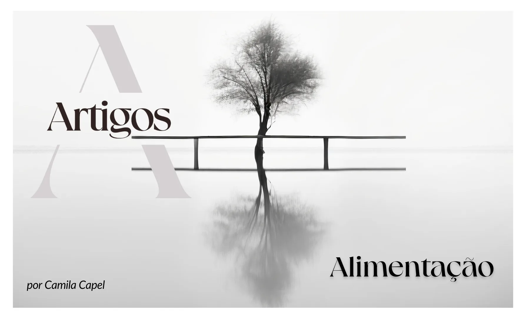 Imagem do post Estudos-Alimentação