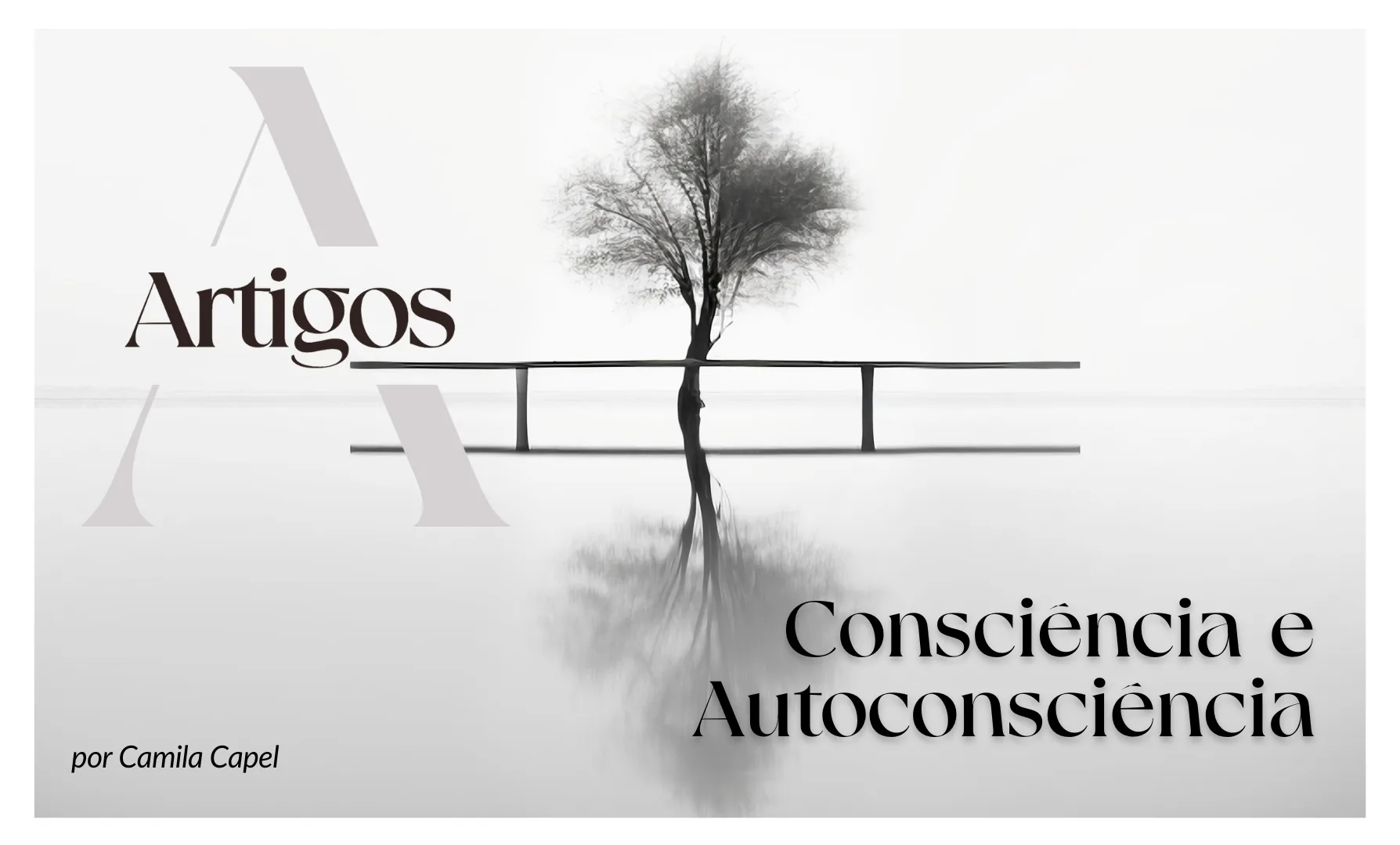 Imagem do post Pilares- Consciência e Autoconsciência