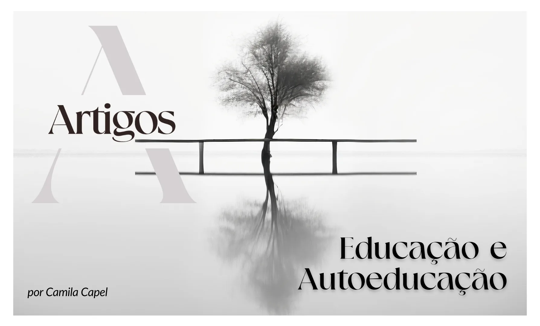 Imagem do post Pilares- Educação e Autoeducação