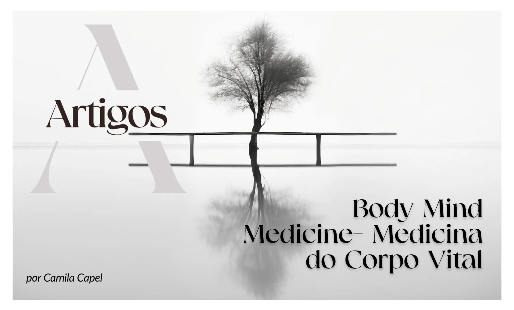 Imagem do post Pilares-Body Mind Medicine- Medicina do Corpo Vital