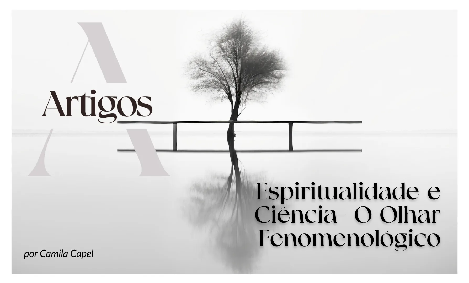 Imagem do post Pilares- Espiritualidade e Ciência- O Olhar Fenomenológico