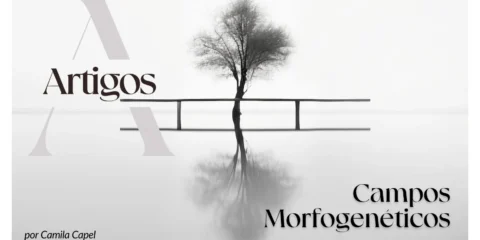 Imagem do post: Estudos- Campos Morfogenéticos