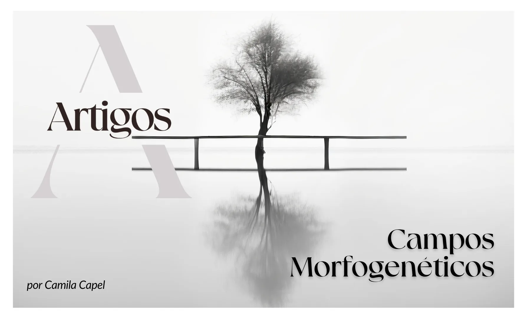 Imagem do post Estudos- Campos Morfogenéticos